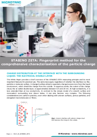 Fingerprint method for the comprehensive characterisation of the particle charge
