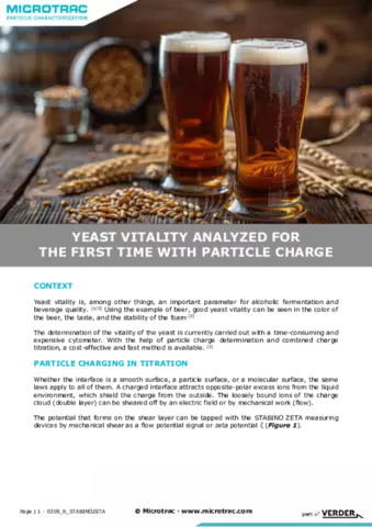 Yeast Vitality Analysis