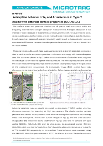 Adsorption behavior of N2 and Ar molecules in Type Y zeolite with different surface properties