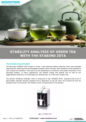 Stability Analysis of Green Tea