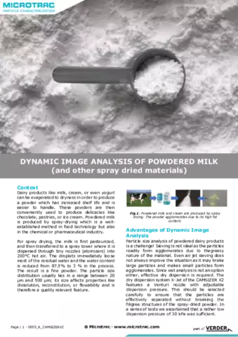 Dynamic Image Analysis of Powdered Milk (and other spray dried materials)